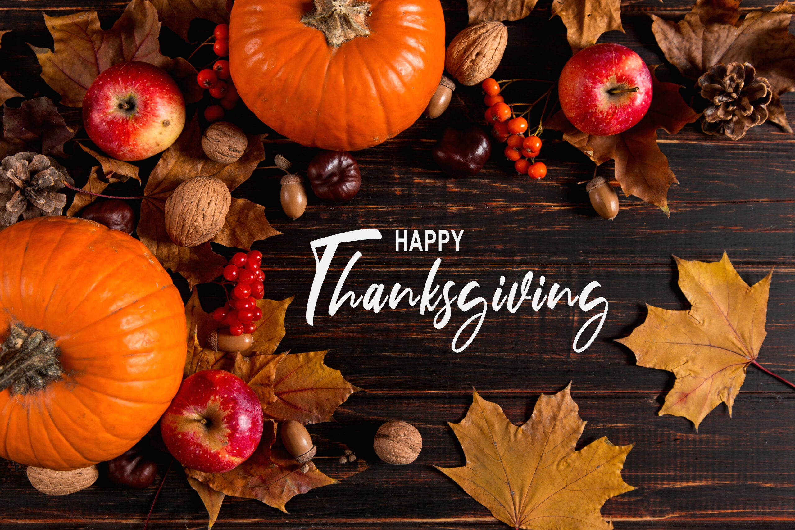 Happy Thanksgiving 2024!